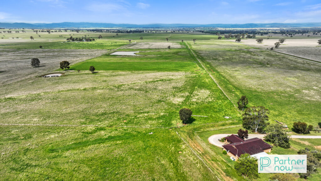 1372 Duri Wallamore Road, Duri - Thumbnail 8