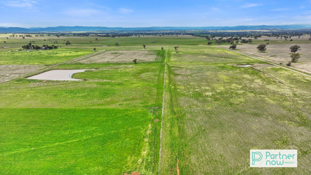 1372 Duri Wallamore Road, Duri - Thumbnail 6