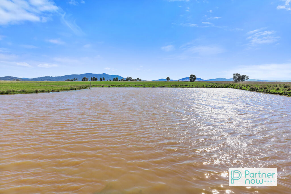 1372 Duri Wallamore Road, Duri - Thumbnail 5