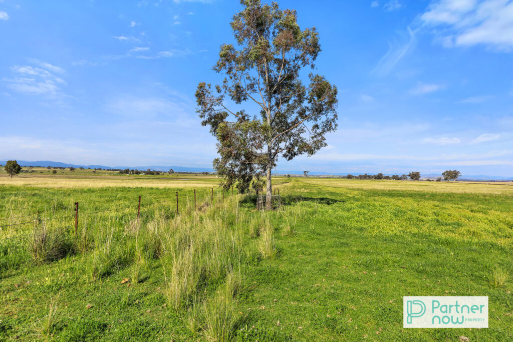1372 Duri Wallamore Road, Duri - Thumbnail 3