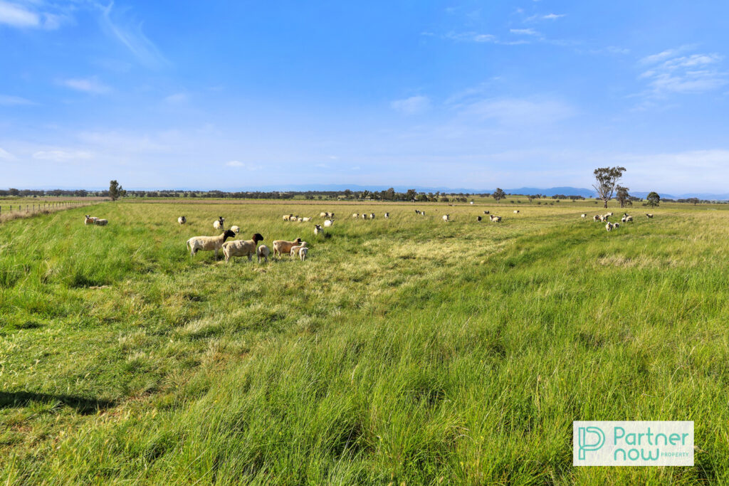 1372 Duri Wallamore Road, Duri - Thumbnail 2