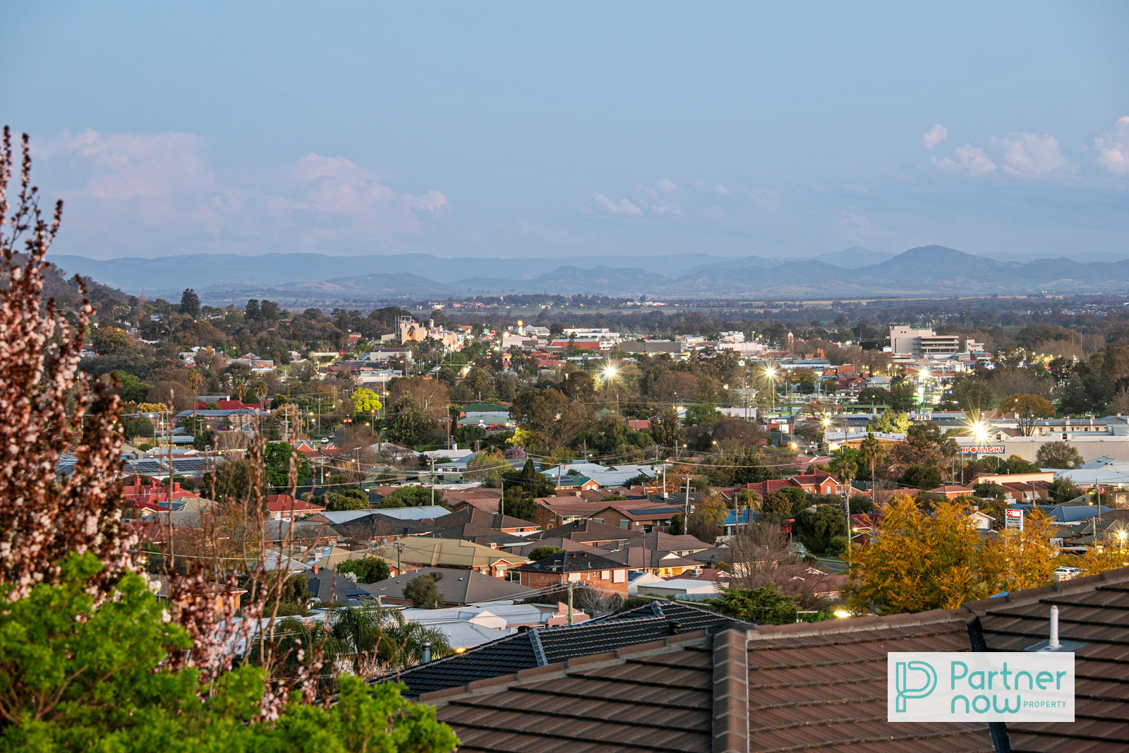 17 Ventnor Drive, TAMWORTH NSW 2340, Tamworth - Thumbnail 4