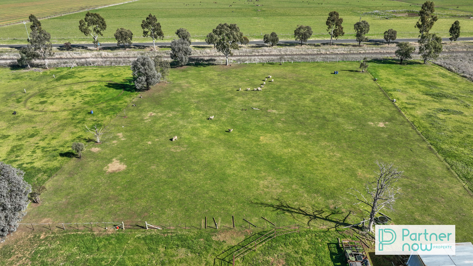 101 Deeks Road, Werris Creek - Thumbnail 4